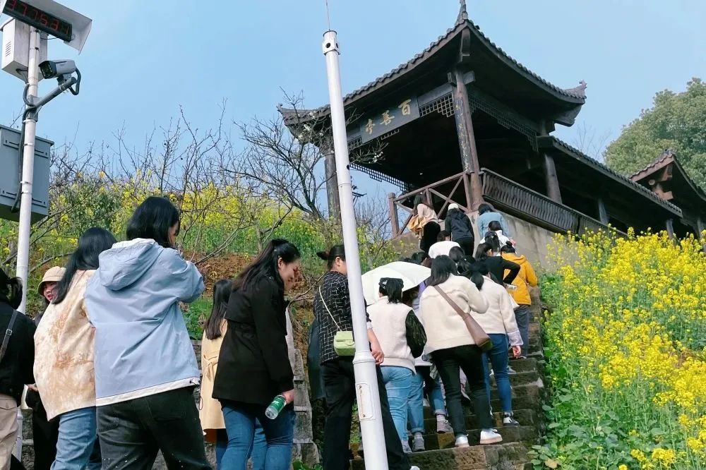 獻禮3.8節|勇做攀登者,奮進新未來