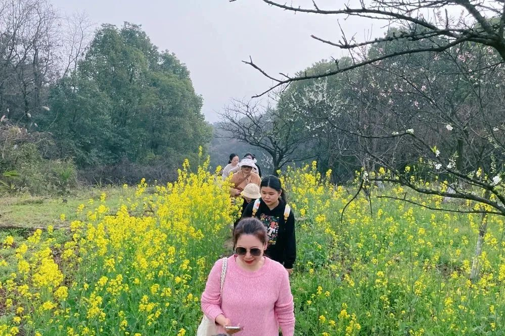 獻禮3.8節|勇做攀登者,奮進新未來